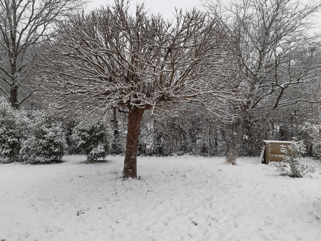 [Image: 20240109-124322.jpg]