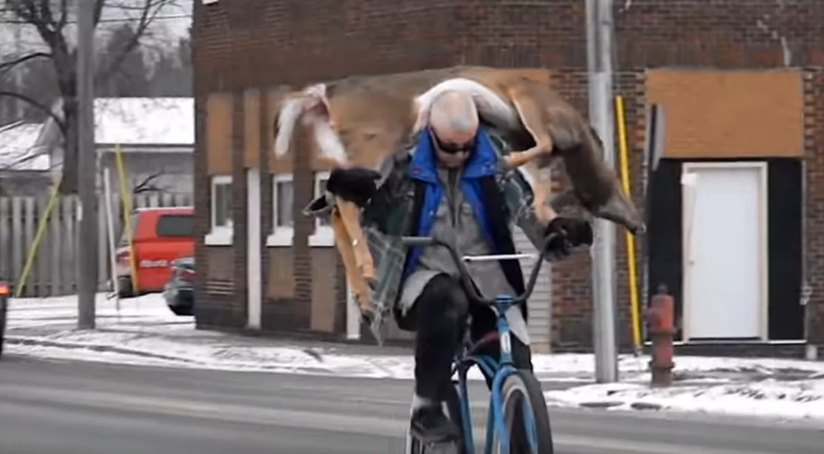 DeerBike