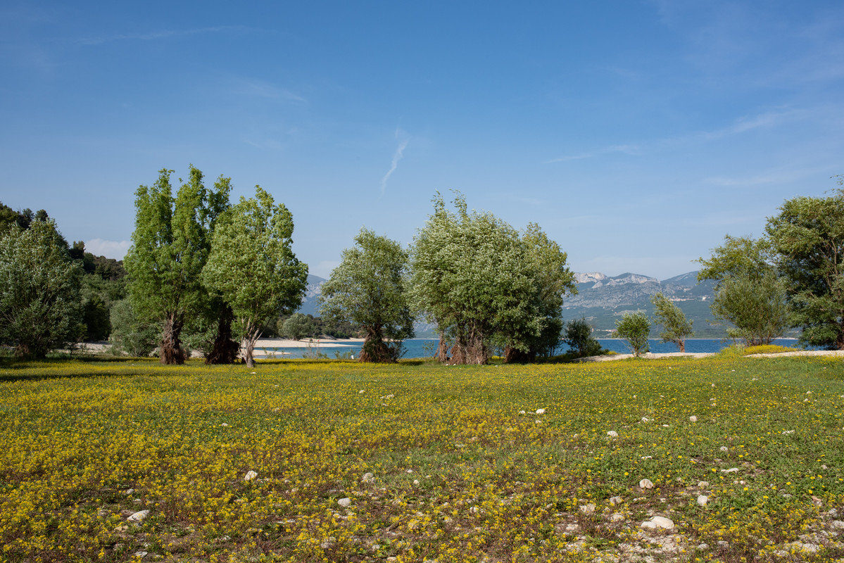 DSC9675.jpg