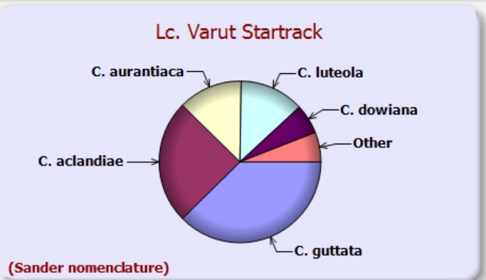 Varut