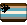 trans bear