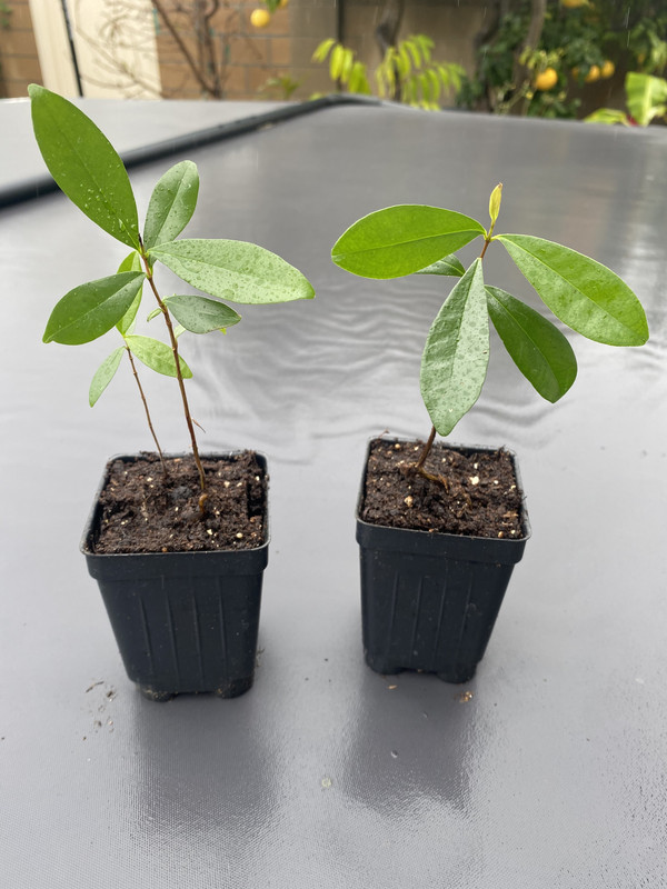 9ADD998E-30EA-439C-9BB9-8630D6253A68