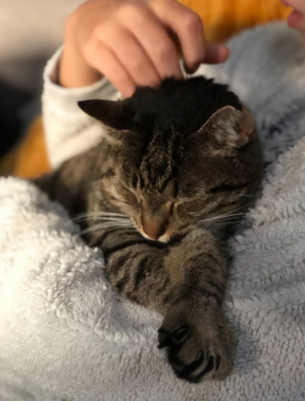 Screenshot_20230501-125745_Email