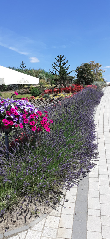 015 - 20200801_124545