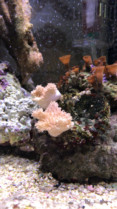 715C17D5-A714-435C-A22D-3974FDC38E64