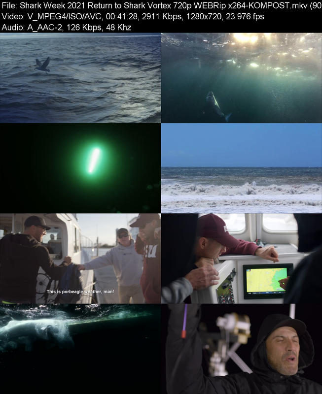shark-week-2021-return-to-shark-vortex-7