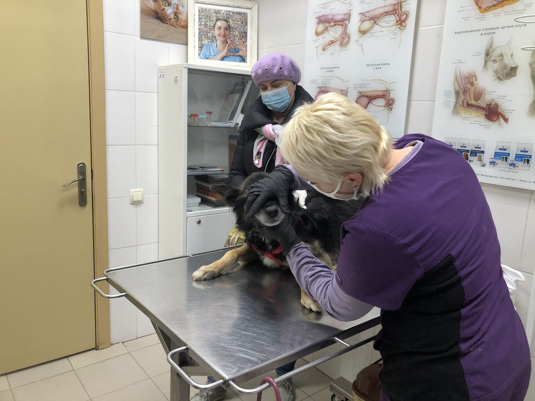 6B2E9865-190E-459B-87DB-E52316656561