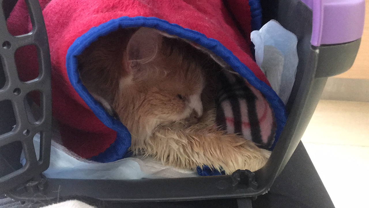 B720B70C-3250-4345-BE64-2AA903B8F2FA