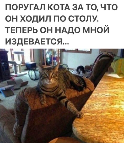 [Изображение: 9f5df62bd9c2a406169b695c06167081.jpg]