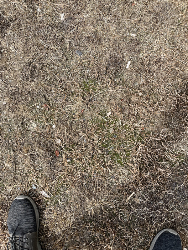 91B809ED-12EC-4047-B65B-4E475357C932