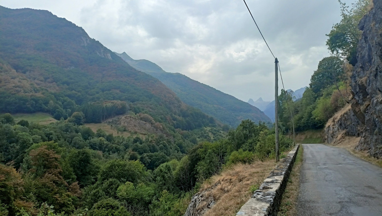 IMG20250818152743 (Large)