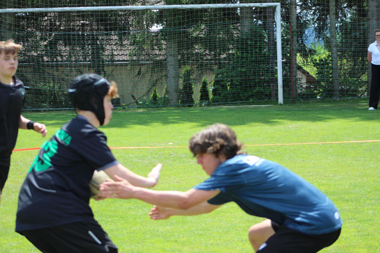 IMG 7364