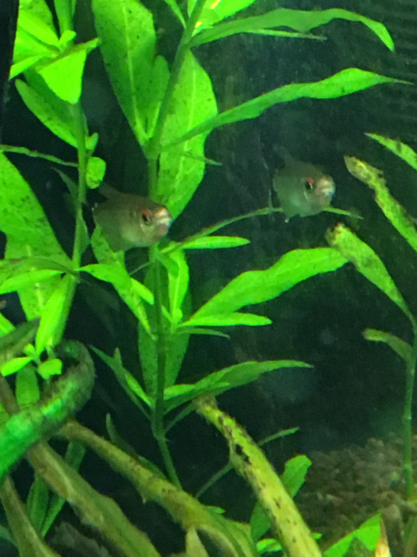 B8A8E0D7-5B9A-441A-9B21-C05FA8A4BE98