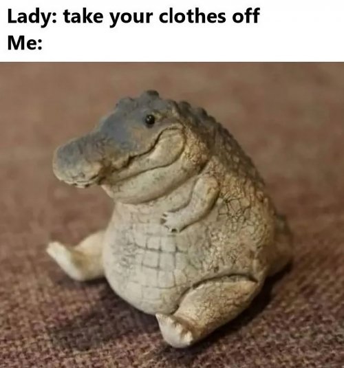 2th.jpg
