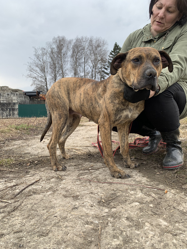 image-09-04-23-05-34-6 (1)