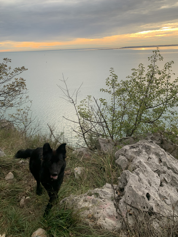 2AD7613F-5915-4551-8924-0722D8763BA1