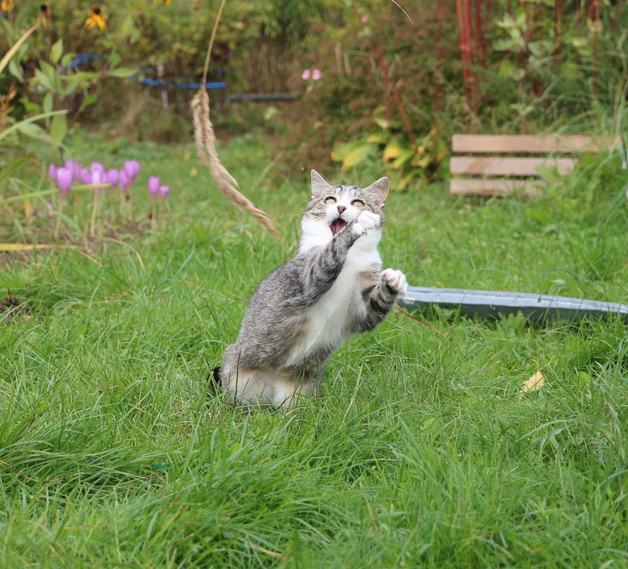 imgonline-com-ua-Resize-WTD3MSJMhIKrqWz