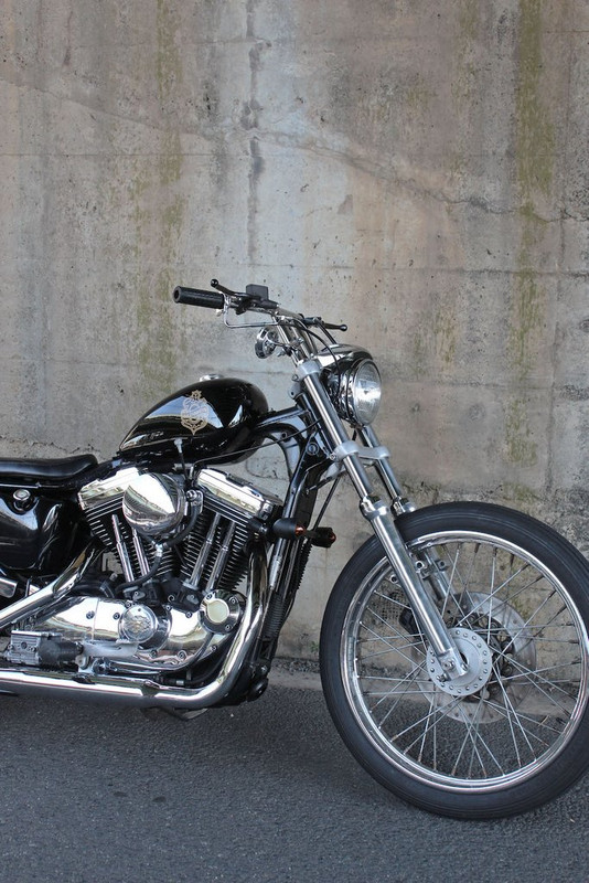 04-Harley-Davidson-Sportster-By-Brat-Style-Hell-Kustom