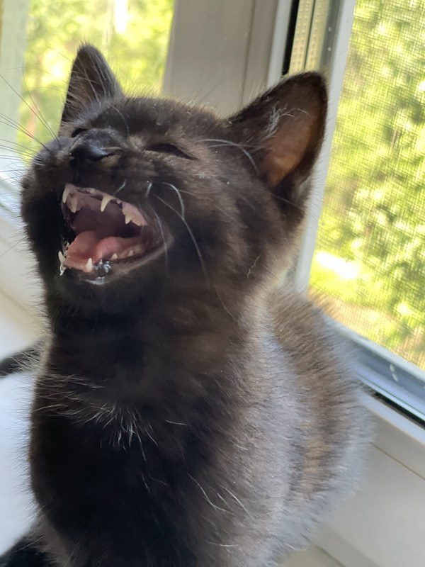 FE717516-0DED-48D6-AFF7-EDD8530B9517