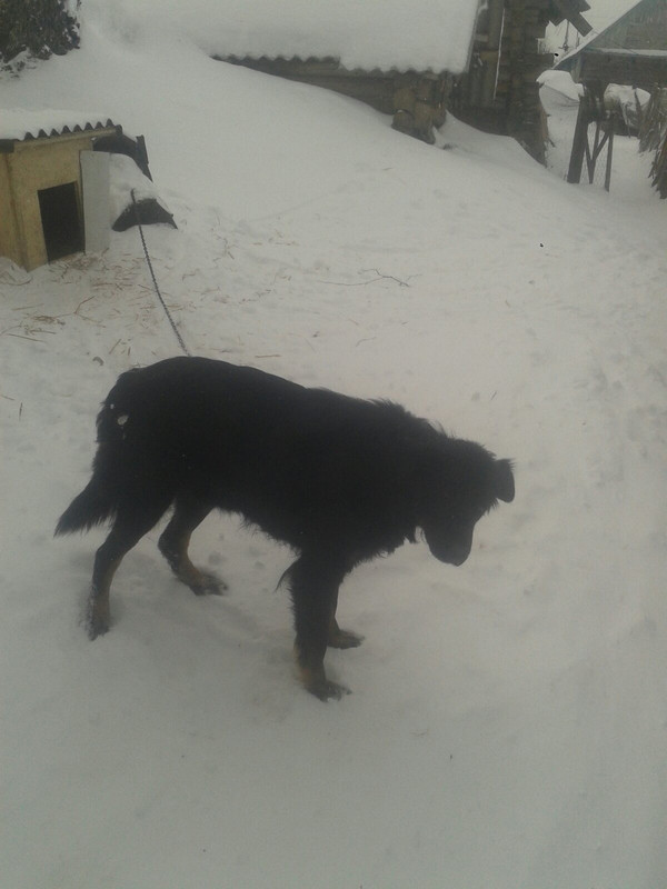 D365CF55-221E-4ABB-8725-9618B1156A52