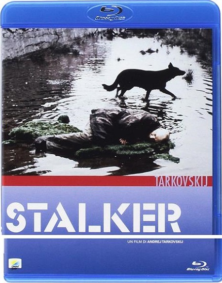Stalker (1979) mkv FullHD 1080p DTS+AC3 ITA RUS Sub