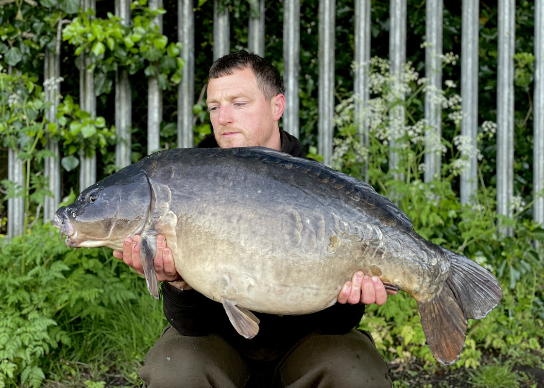 D064031C-093D-4CCF-9365-4A4546BED761