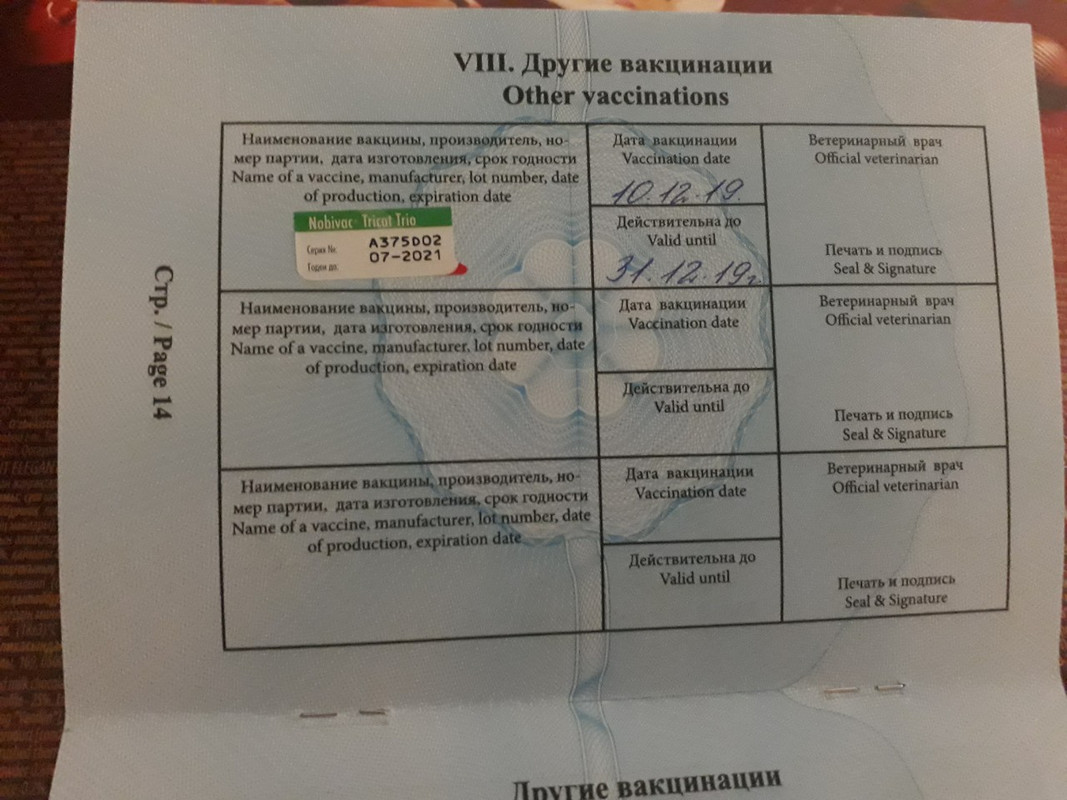 изображение_viber_2019-12-10_18-55-13