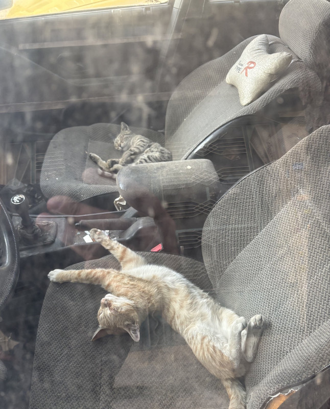 ۲۰۲۵۰۴۱۷_۲۰۴۴۳۳