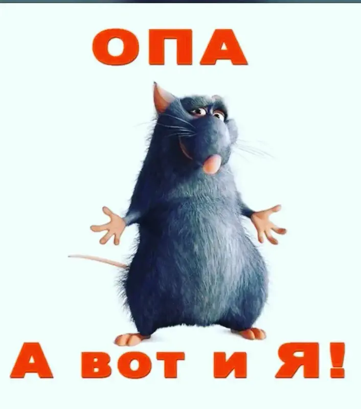 i (1)