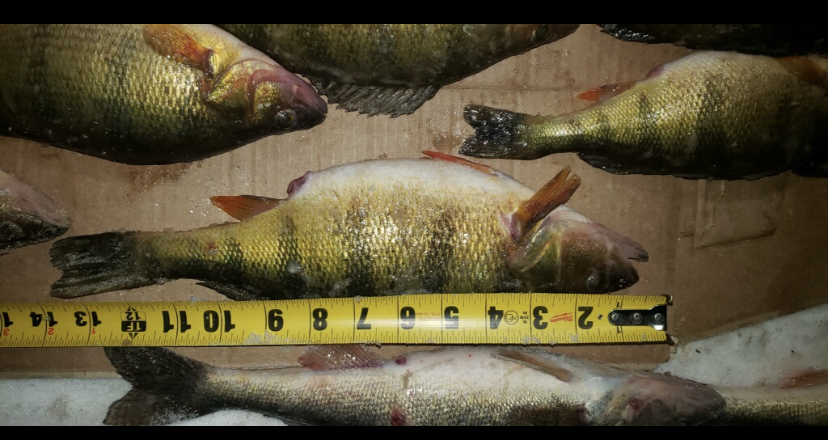 C33EEB5B-AB22-4242-A520-8D7AC46A36C1