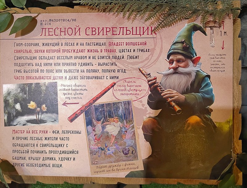https://i.postimg.cc/Kj5bMN1T/208-IMG-20250128-152938.jpg