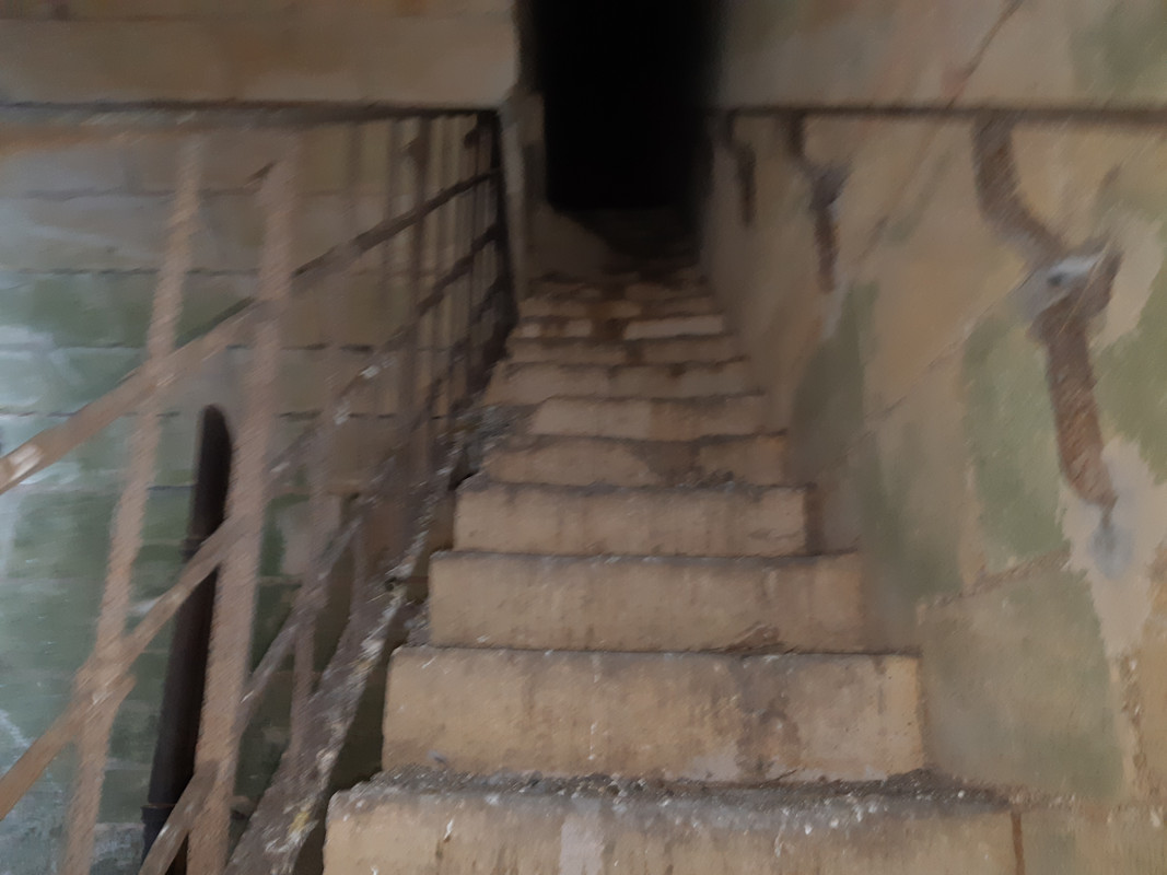 11.04 - 20180806_145331 (PiTT)