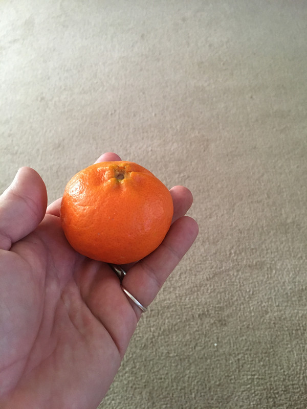 865F9F4B-F5D2-40A0-BE34-199842A2A6BA