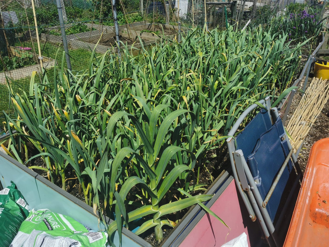 WhatsApp Image 2021-05-23 at 10.35.58 (5)