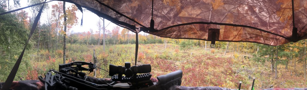 E6B9A9FE-BA4C-436E-82C5-BC5D0B9505B1