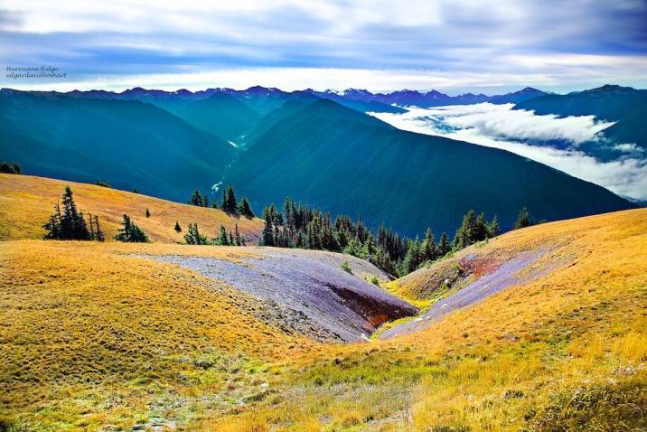 Things to do in Olympic National Park