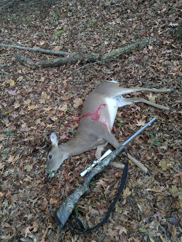 PXL 20251121 144132341