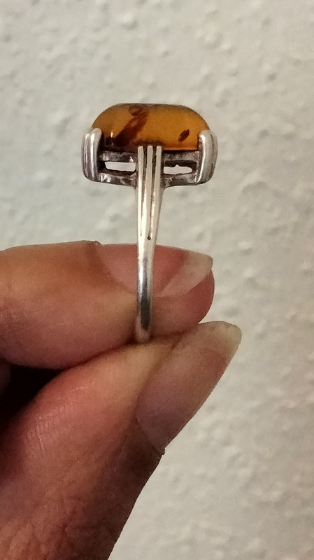 IMG20211031165008 (1)