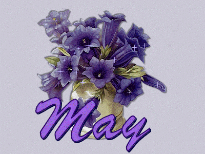 may-purple
