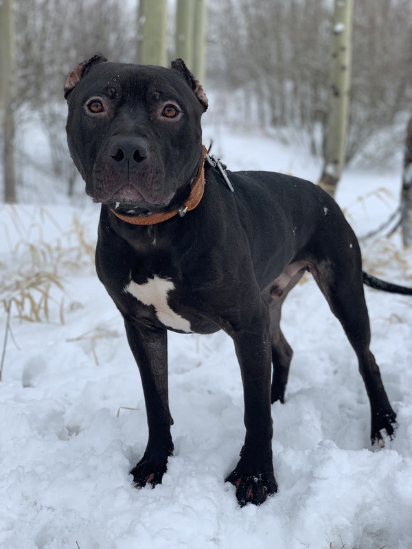 1ADFEA77-FFEE-4965-8954-182F642DA694