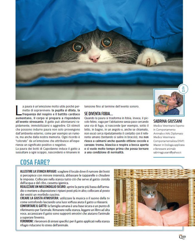 QuattroZampe Dic 2024-Gen 2025 (4)