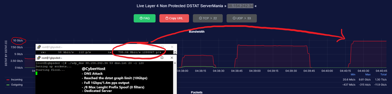 [Image: dedi-dns.png]