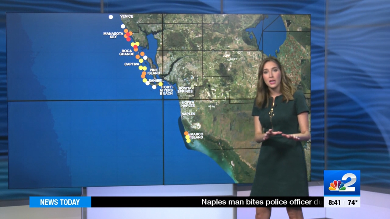 04.08 - 13.30.00 - NBC 2 News Today - Saturday  ᴺᵉʷ..ts_snapshot_00.17.27.939