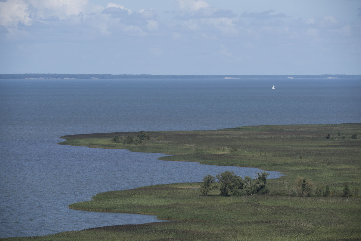 29.17 - NEW_9806 (Konfiturek)