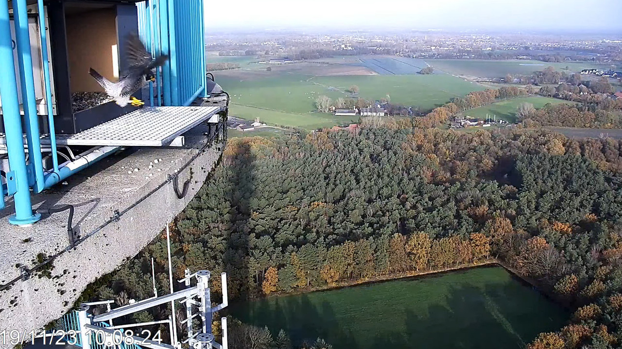 screenshots va 2 november 2023 © VWGGemert - Pagina 5 2023-11-19-101354
