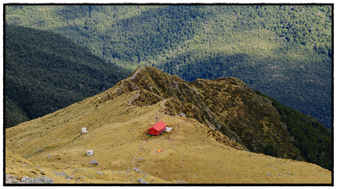 Mt Aspiring NP – Brewster hut & glacier (febrero 2026) - Escapadas y rutas por la Nueva Zelanda menos conocida (25)