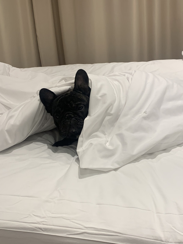 DA54640A-15FF-4EC4-BBFE-409F04F9D67B