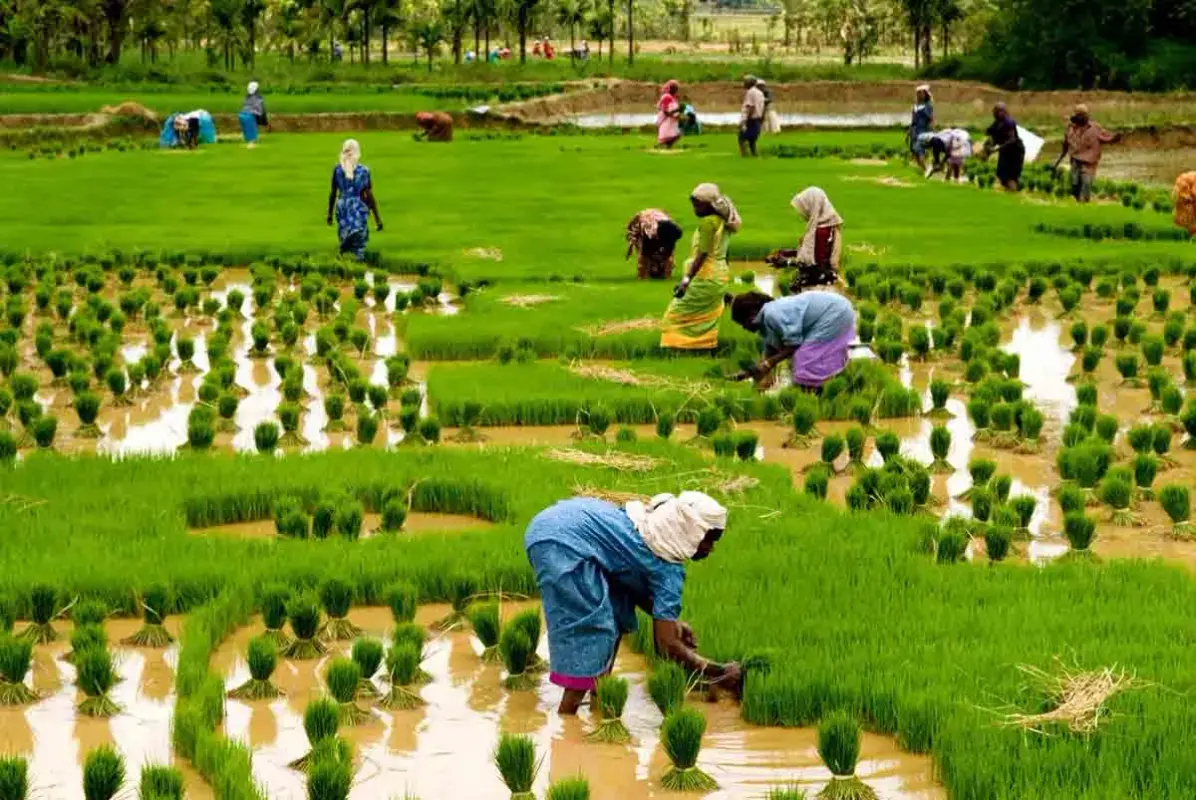 A New Chapter for Farming
