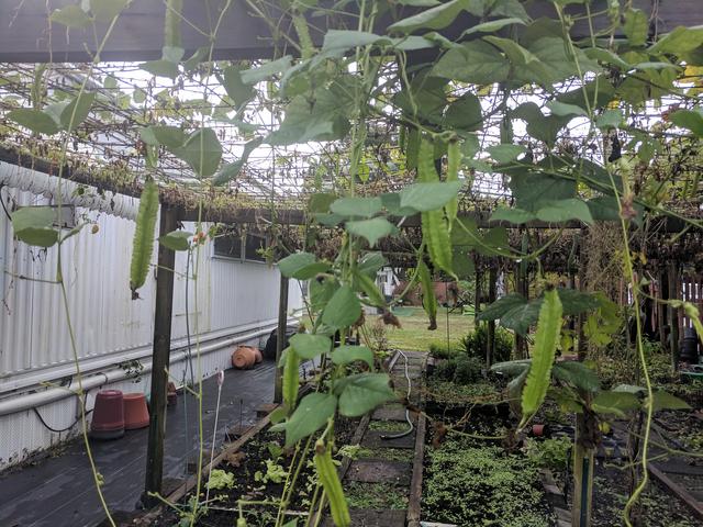 [Image: IMG-20181209-132718.jpg]