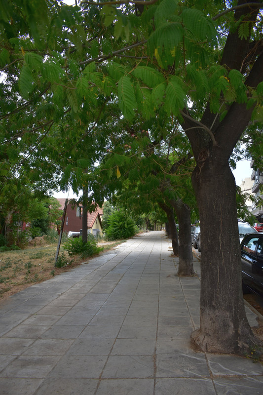 Αλεξανδρούπολη (14)